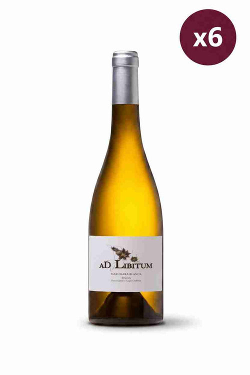 AD LIBITUM Maturana Blanca caja de 6 botellas - Viñas del Norte