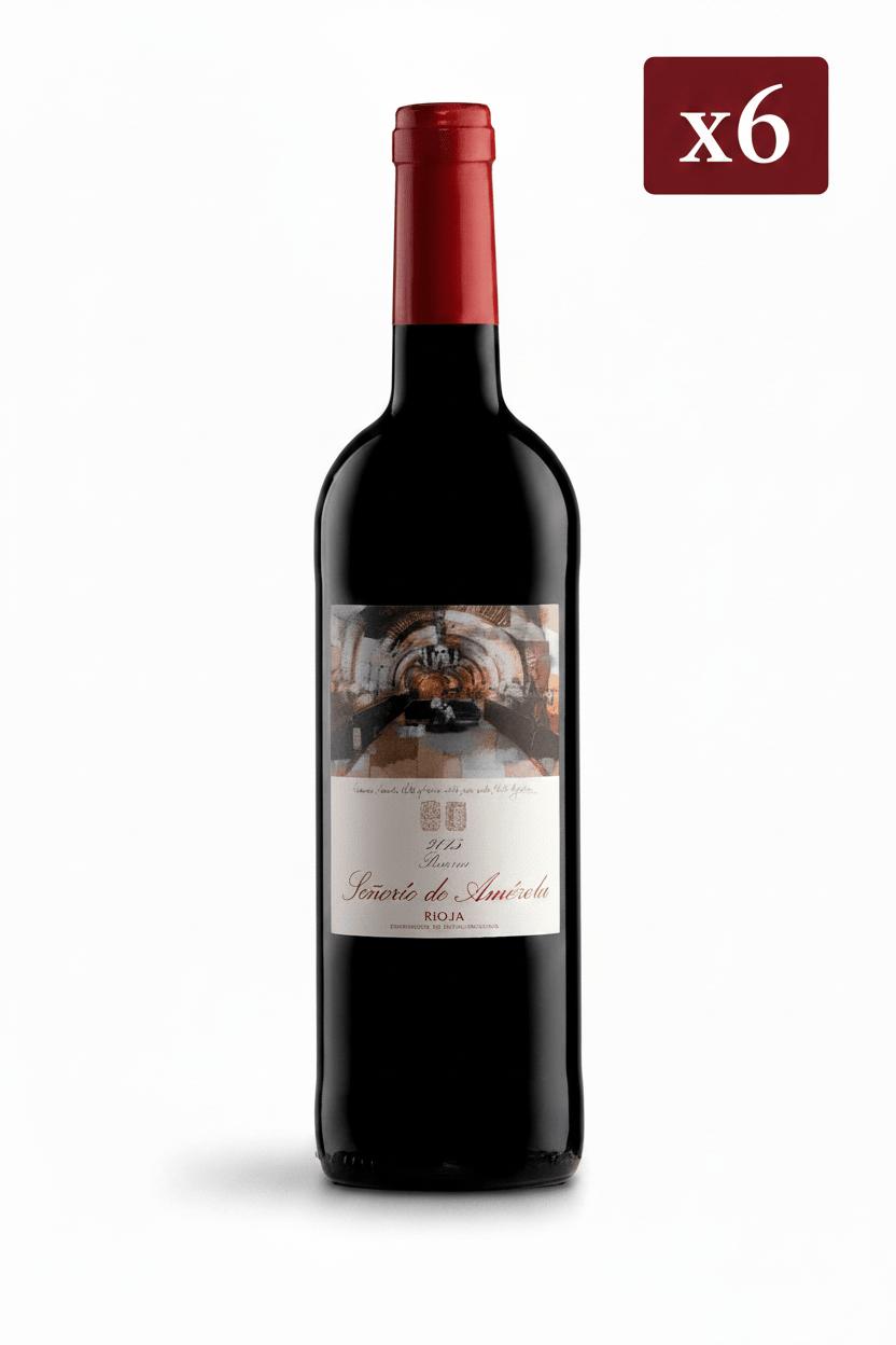 Amezola de la Mora Reserva Caja de 6 botellas - Viñas del Norte